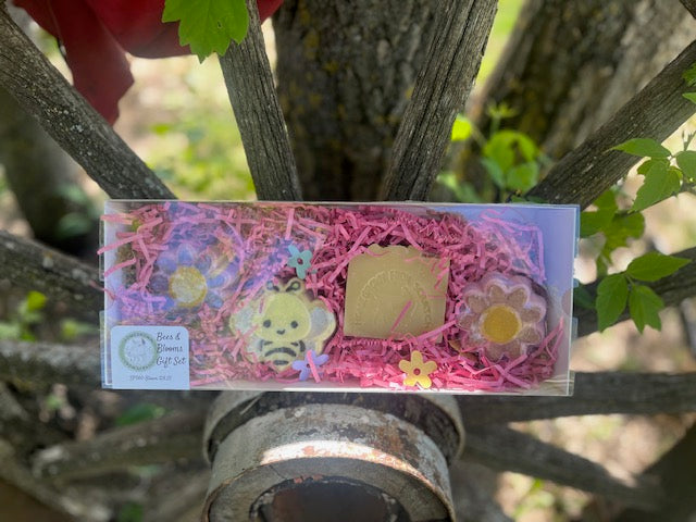 Bees & Blooms
