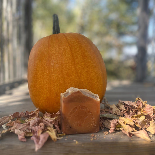 Pumpkin Cream Goats Milk Soap