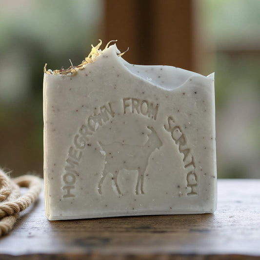 Morning Chores tallow + goat milk soap