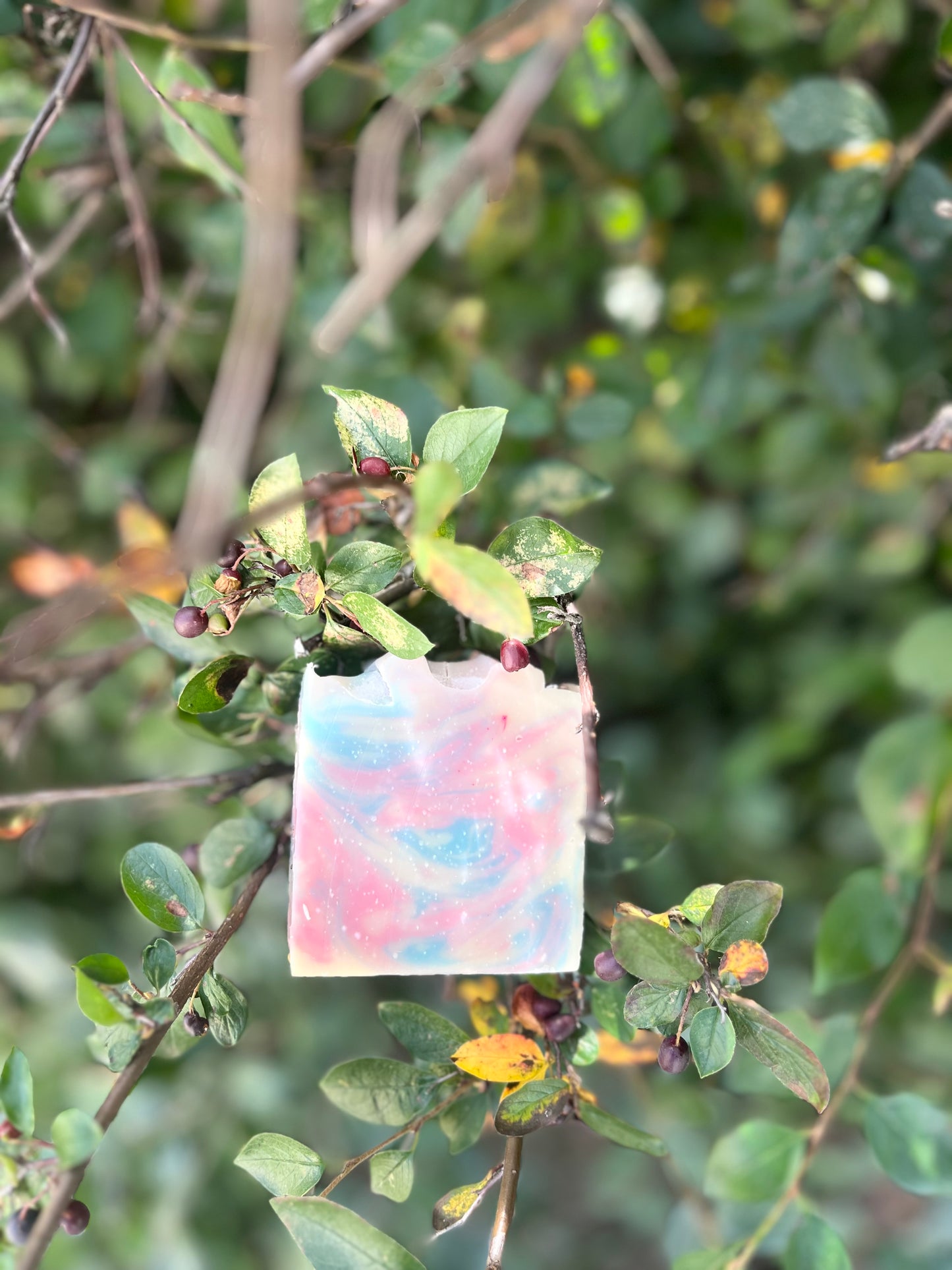 Dark Currant + Sandalwood