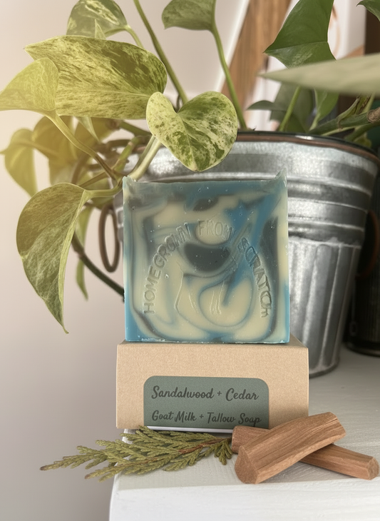 Sandalwood + Cedar Goat Milk & Tallow Soap