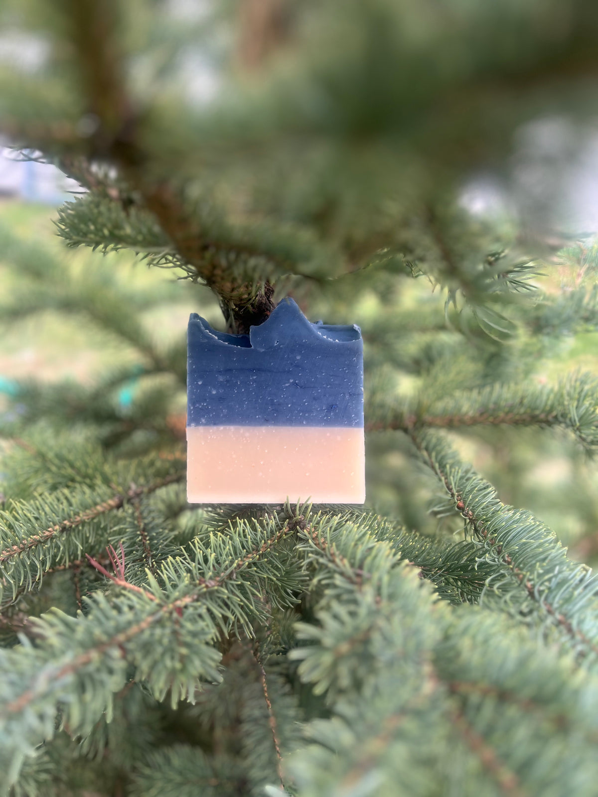 Mountain Spruce & Amber Goat Milk Soap
