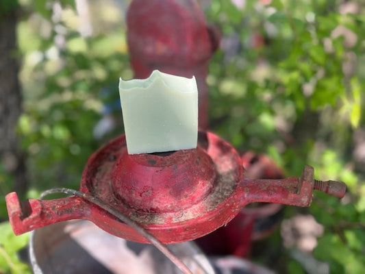 Aloe & Tallow Goat Milk Soap